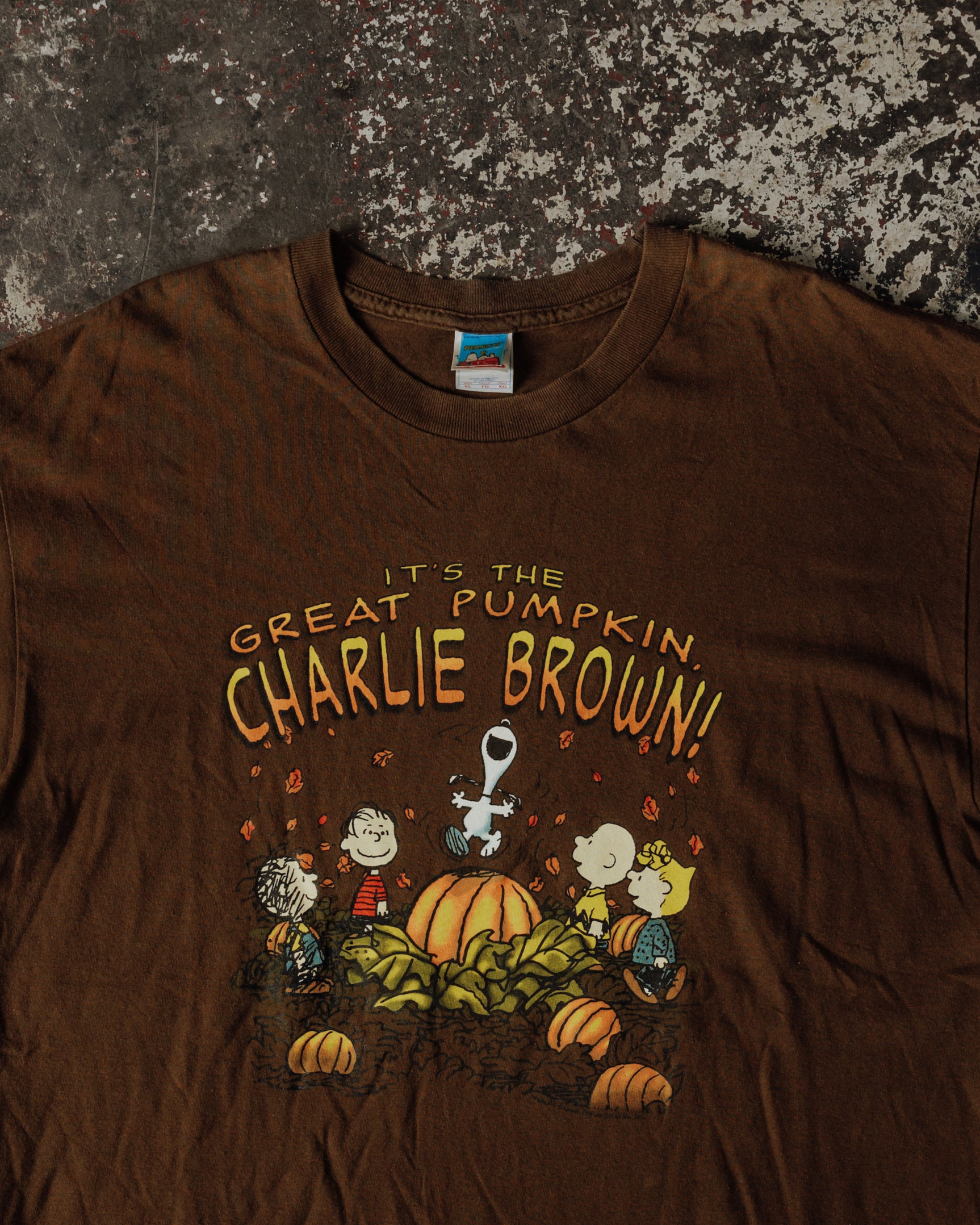 SNOOPY HALLOWEEN TEE - XL