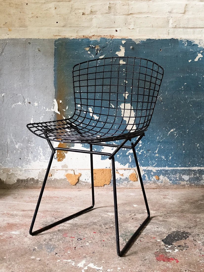 Harry Bertoia - Wire Side Chair (Knoll 1952) - Le Taudis